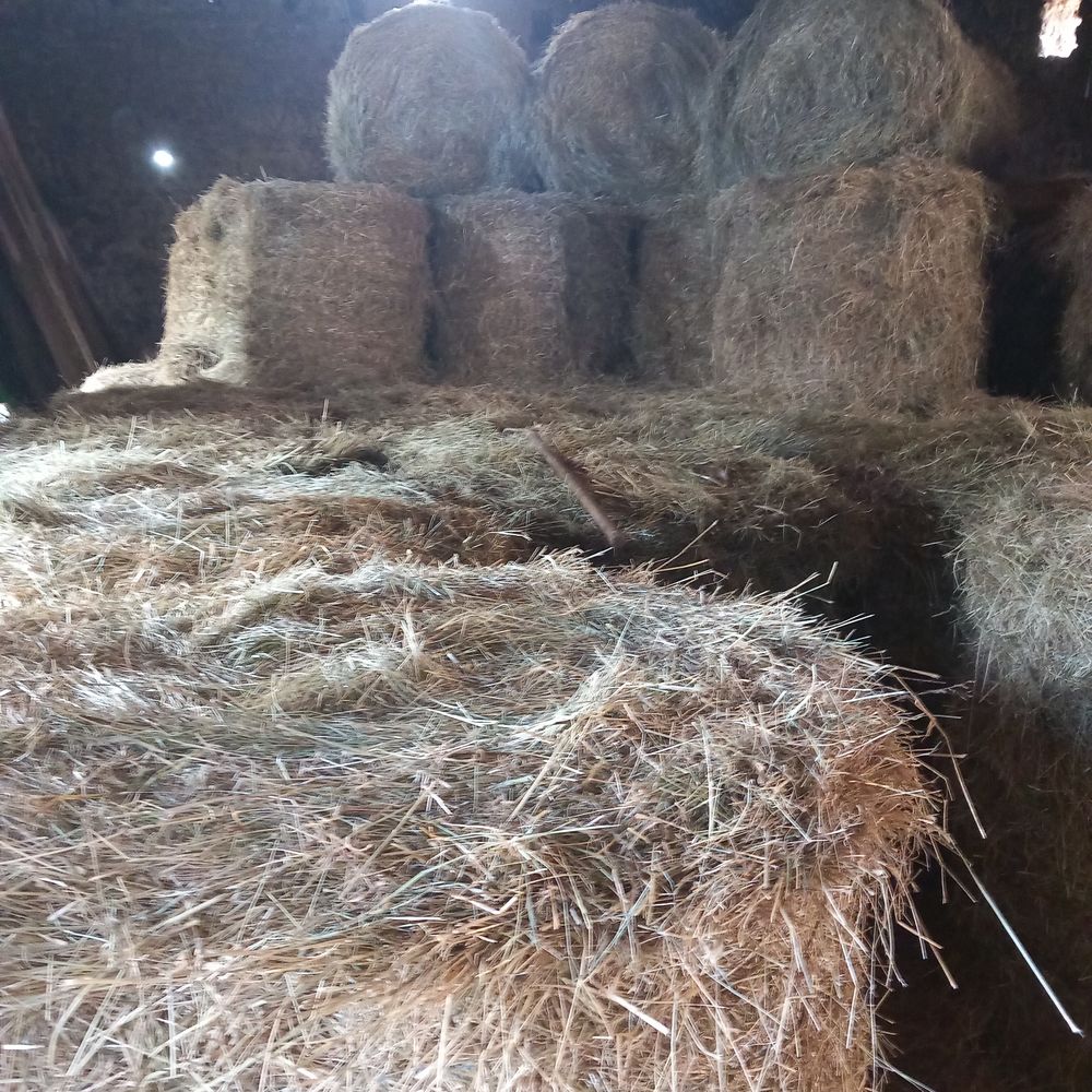 Foin 10 43220 Duni�res