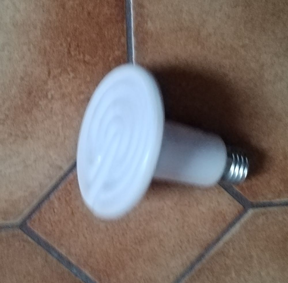 FLEXARIUM avec AMPOULE CHAUFFANTE CERAMIQUE 10 78200 Mantes-la-jolie