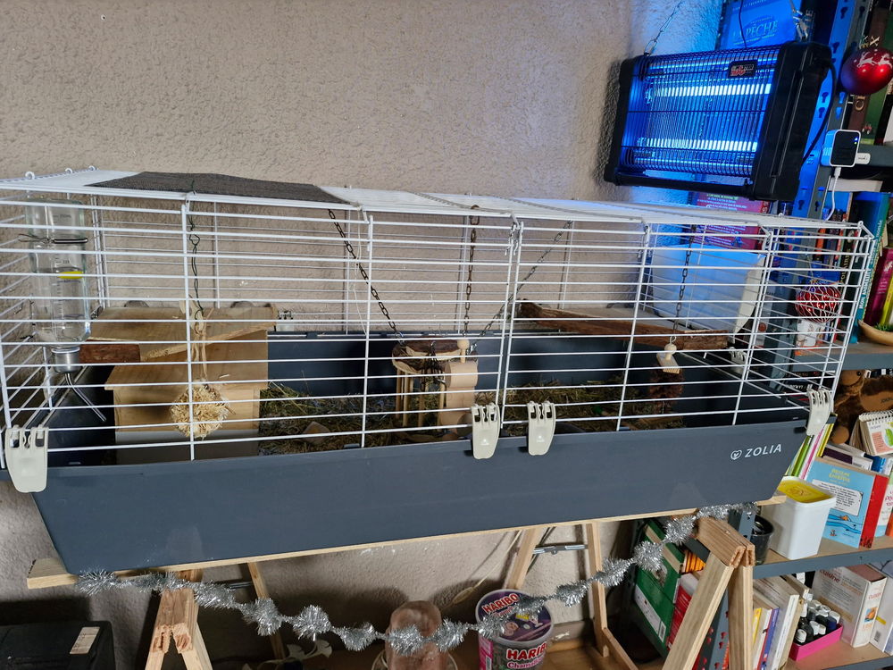 Cage a cobaye + cobaye 80 33240 Peujard