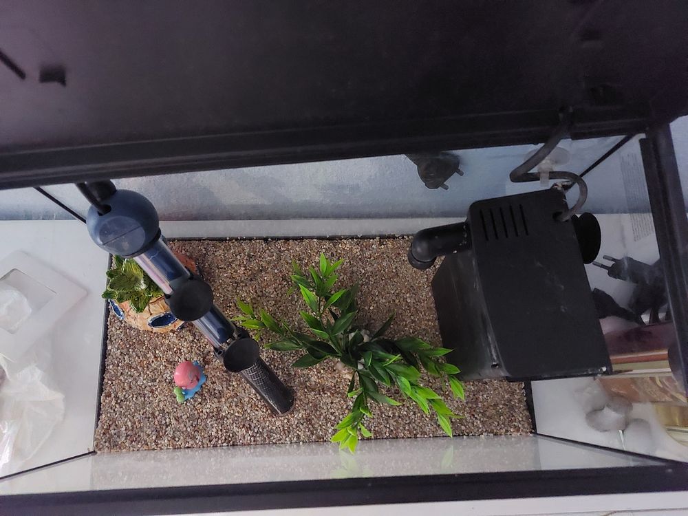 Aquarium 29 31100 Toulouse