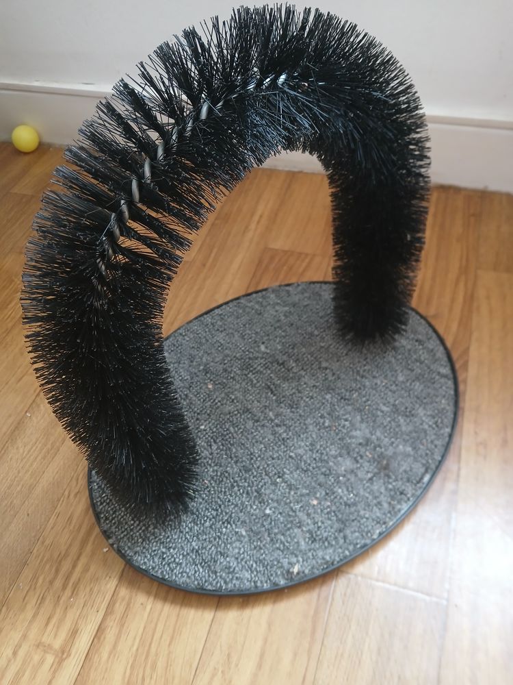 Grattoir petit chien 10 44600 Saint-nazaire