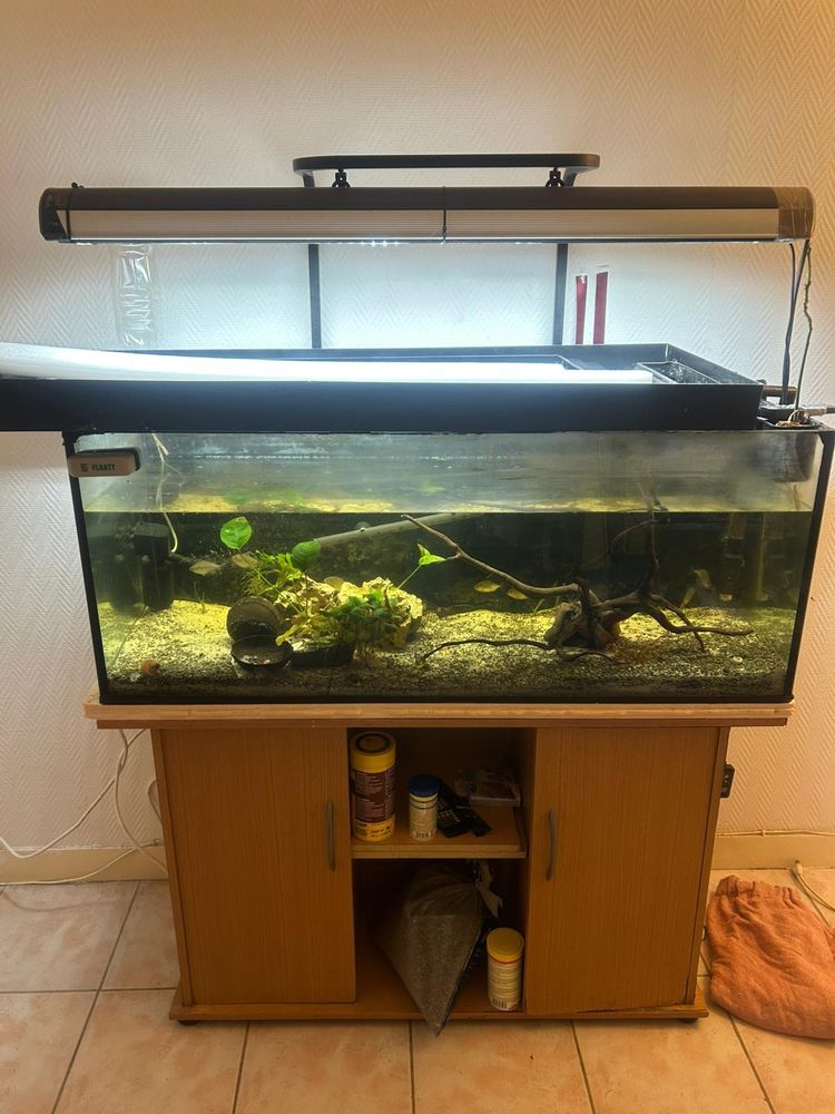 Aquarium complet 800 95670 Marly-la-ville