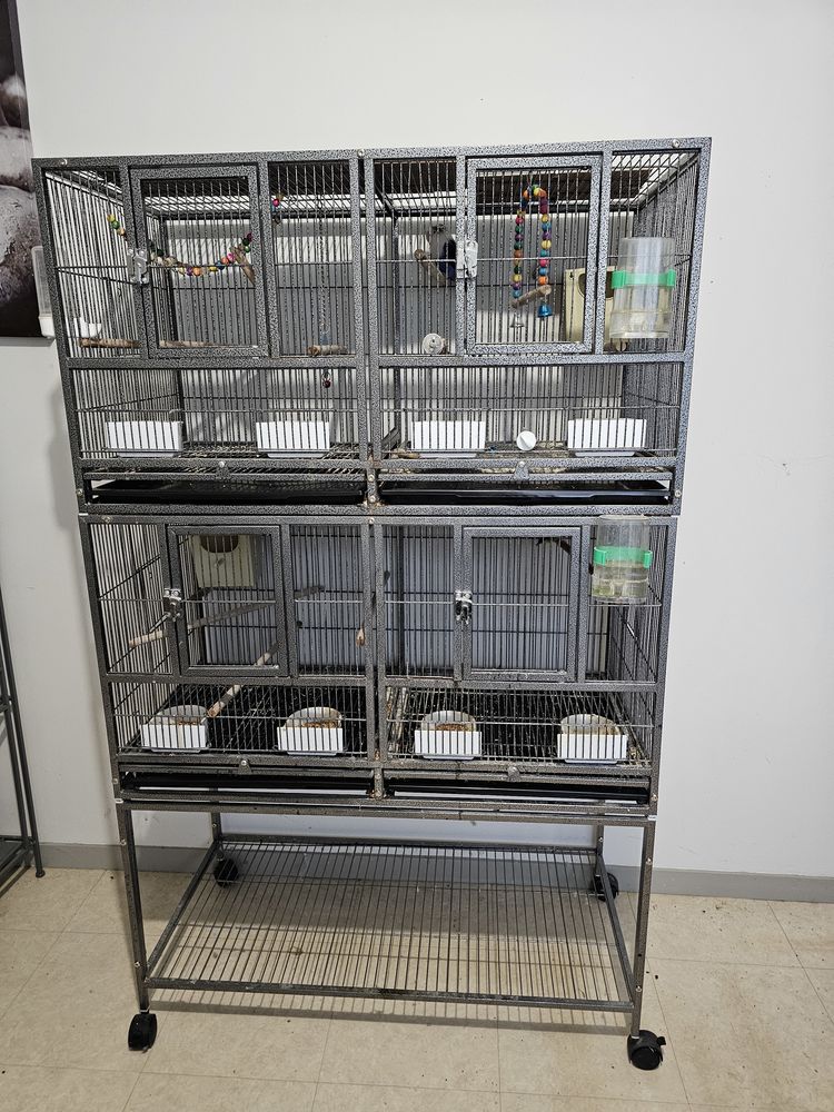 voli&egrave;re 150 18600 Sancoins