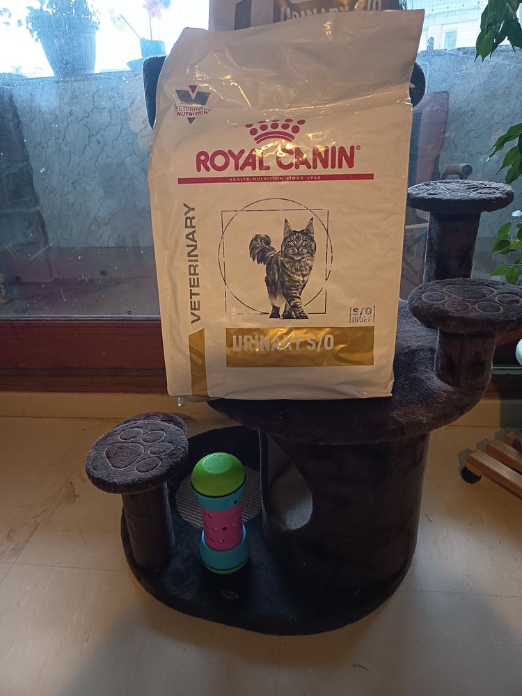 Croquettes pour chat ROYAL CANIN URINARY S/0 45 22700 Perros-guirec