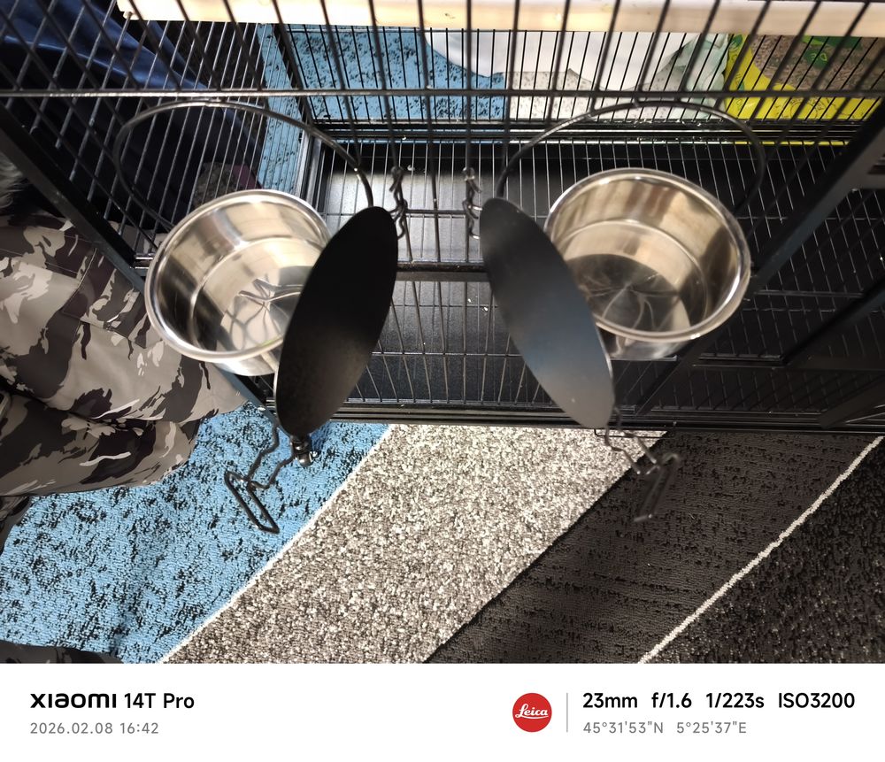 Cage perroquet 210 38110 Montagnieu