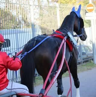 Lord de marcay 3000 86110 Chouppes