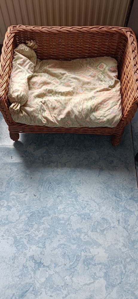 Fauteuil pour chat 10 59320 Emmerin