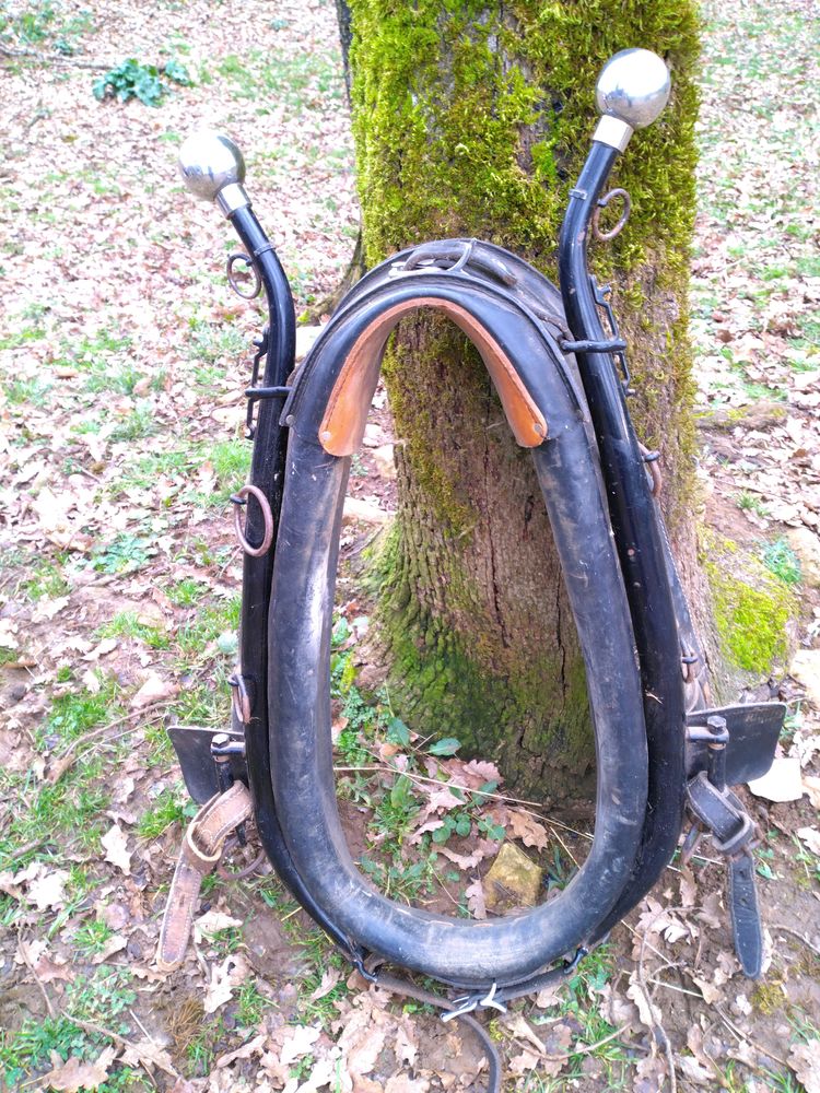 Collier am&eacute;ricain pour cheval de trait. 500 12260 Villeneuve