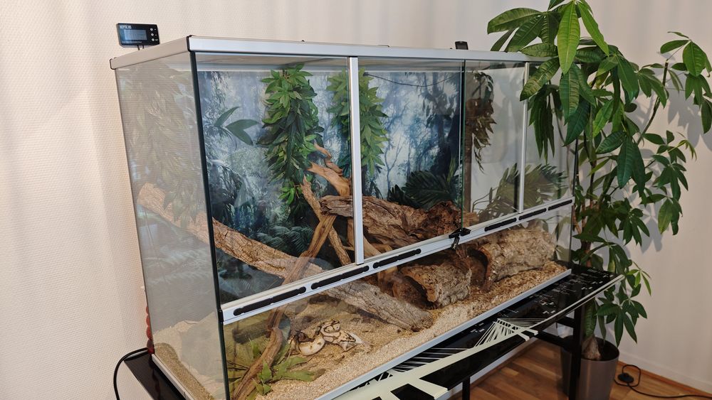 Terrarium+tarratlantis+pr&ecirc;t+&agrave; ++l'emploi 280 75012 Paris