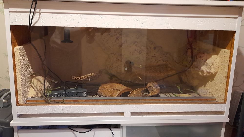 Terrarium 110 54360 Blainville-sur-l'eau