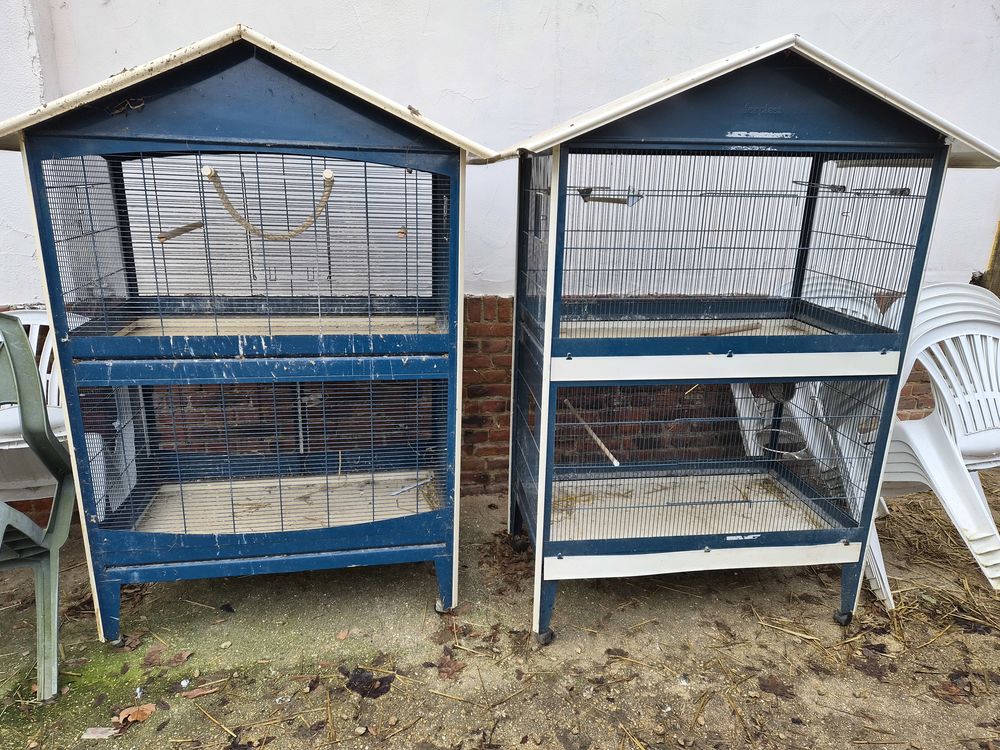 Cages oiseaux 80 80500 Fescamps