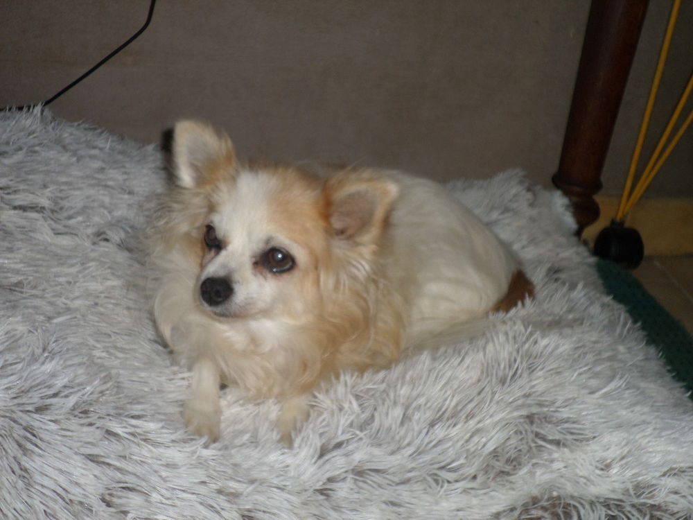 AVIS DE RECHERCHE 0 84600 Valr�as