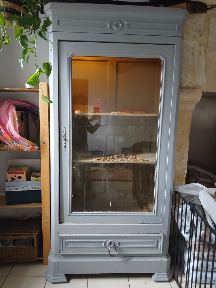 4 &eacute;laphes avec accessoires 200 14400 Maisons