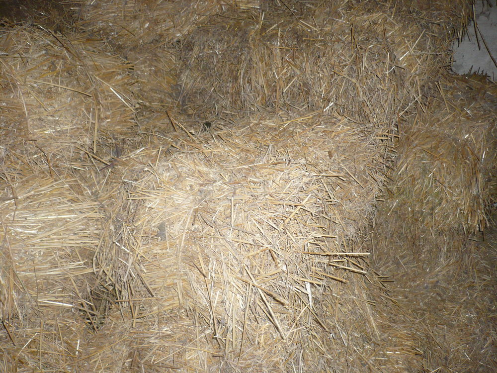 Botte de paille 2 57830 Foulcrey