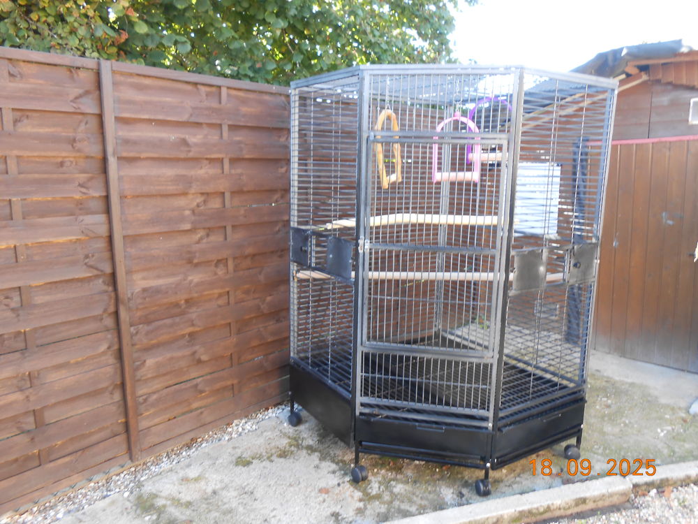 cage a perroquet xxl 350 24000 P�rigueux