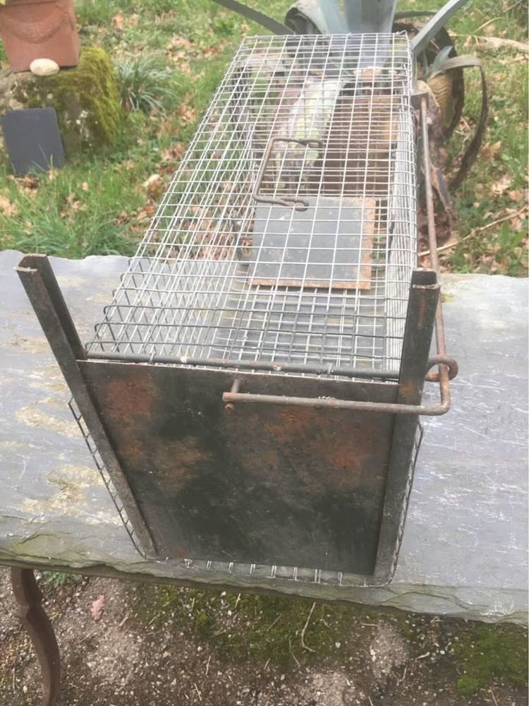 Cage/pi&egrave;ge /attrape rongeur
45 81100 Castres