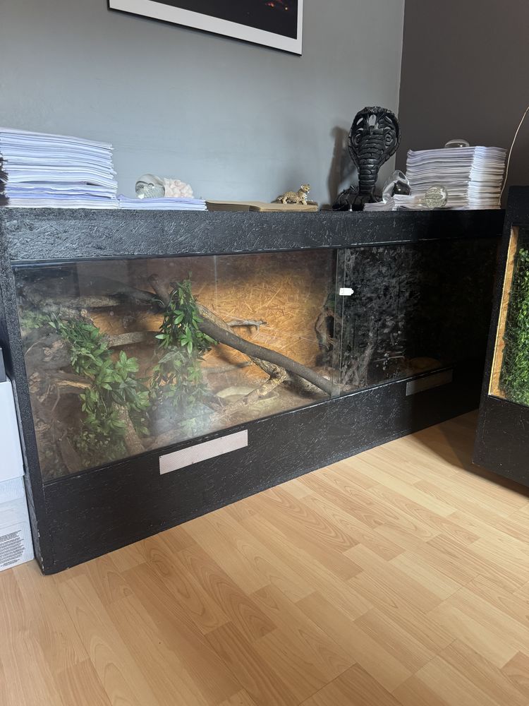Terrarium + occupants 50 27940 Les trois lacs