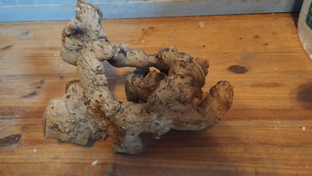 Mangrove racine pour aquarium 30 02700 Fri�res-faillou�l