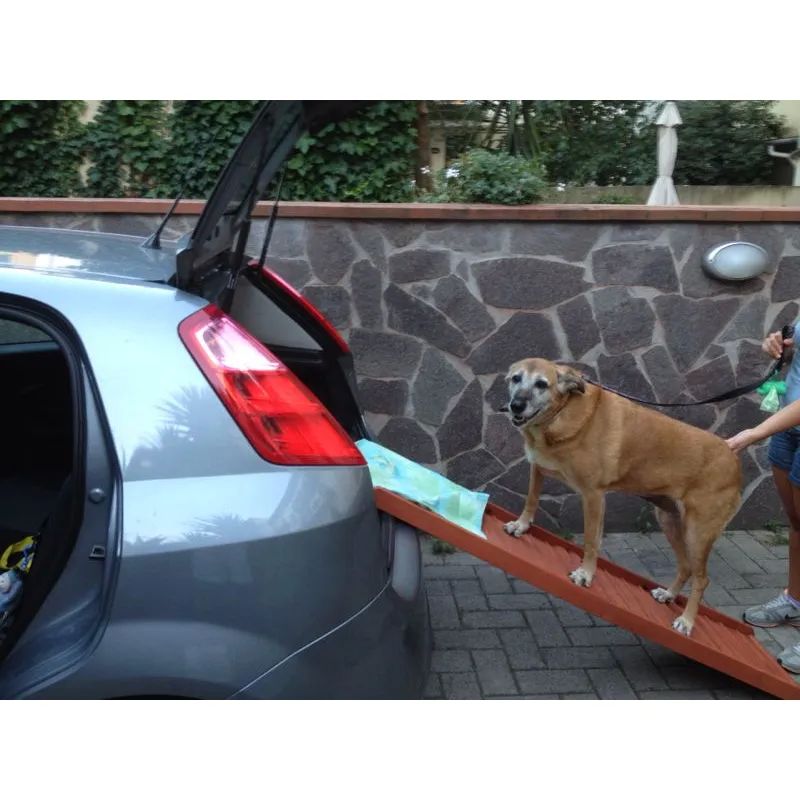 Rampe de voiture pour chien marque Backstage 49 83200 Toulon