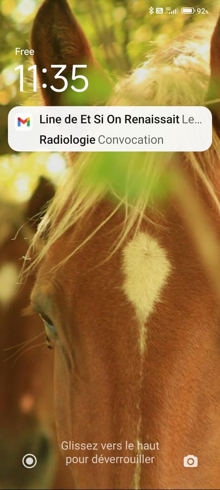 Pension chevaux a piegros la clastre 10 26400 Crest