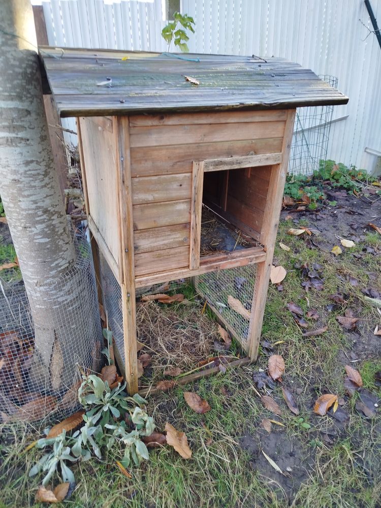 Niche pour chien ou chat actuellement elle est sur&eacute;lev&eacute;e 30 62138 Haisnes