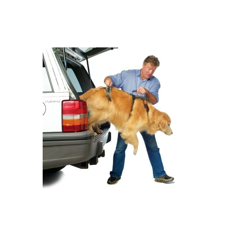 Harnais complet pour promenade pour chien m&acirc;le 129 83200 Toulon