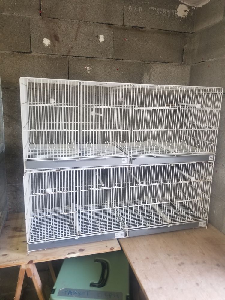 Cages 55 34150 Gignac