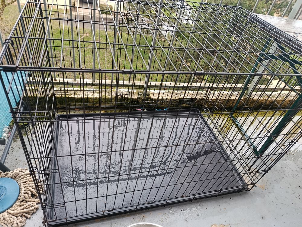 Cage 80 21700 Nuits-saint-georges