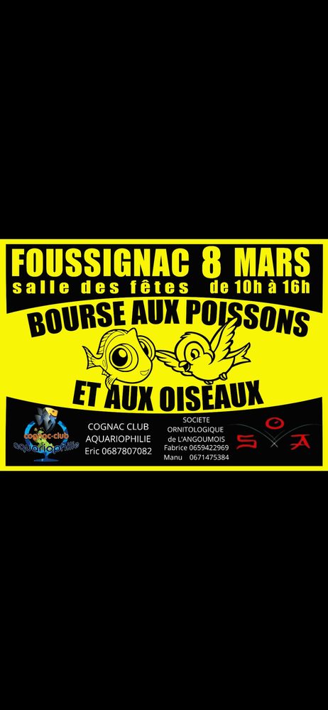 Bourse aux oiseaux et aux poissons 0 16190 Nonac
