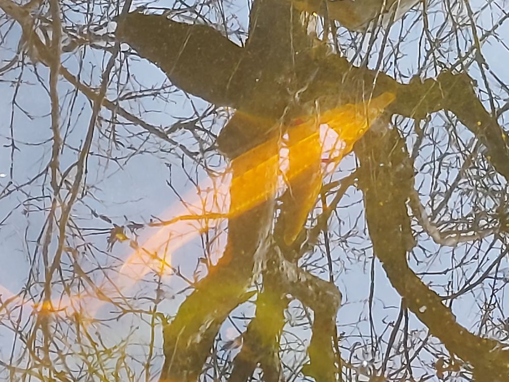 Esturgeon 50 83400 Hy�res