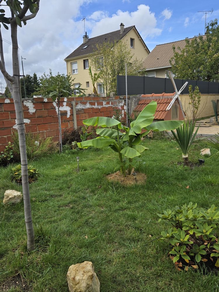 Acceuil, tortues de terre,C.B.Soins et s&eacute;curit&eacute; 75 0 77500 Chelles