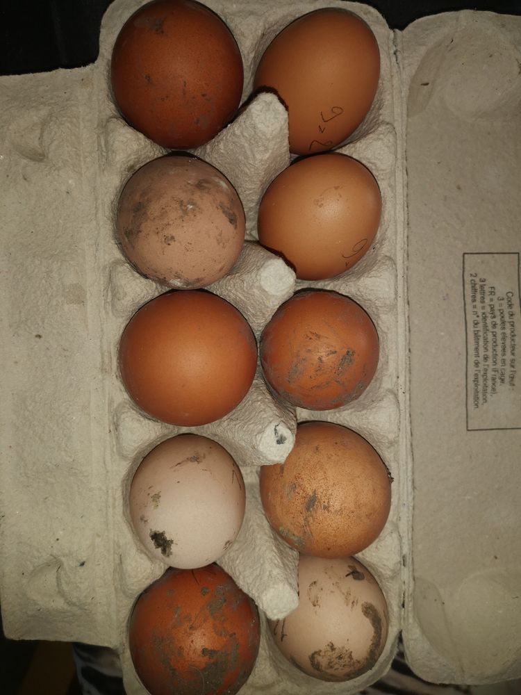 ?ufs de poule 2 38270 Beaurepaire