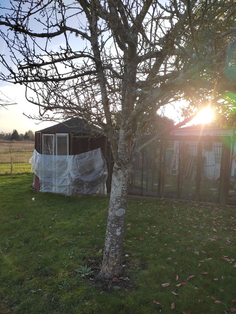 Grande voli&egrave;re 200 45430 Ch�cy