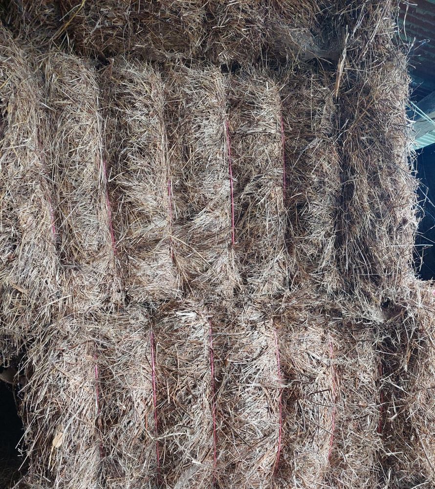 Bottes de foin carr&eacute;es de prairie temporaire 2025 80 12220 Montbazens