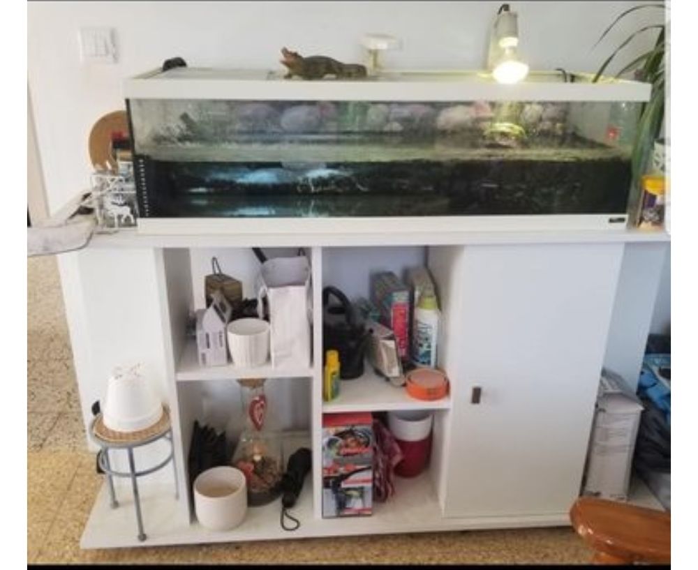 Tortue d eau 150 80400 Douilly