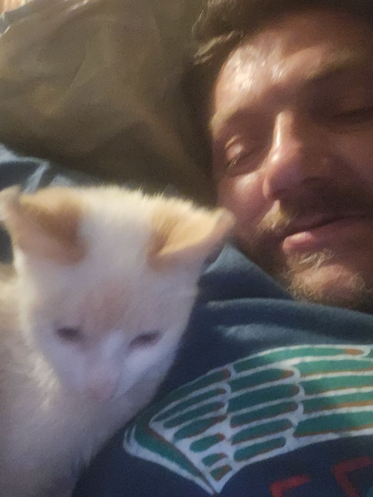 Recherche  Rottweiller 0 35210 Parc�