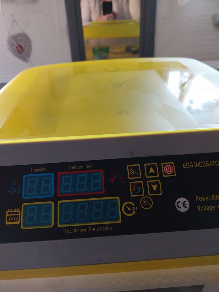 couveuse incubateur 50 45700 Montcresson