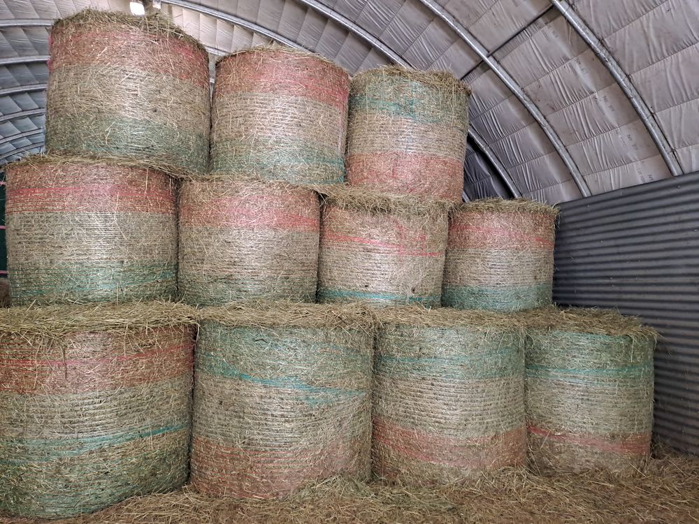 Foin 20 73410 Saint-germain-la-chambotte