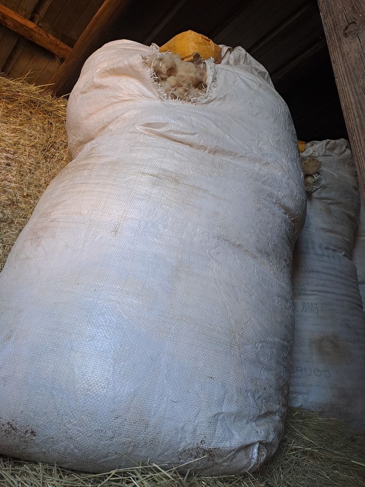 Laine de mouton 35 73410 Saint-germain-la-chambotte