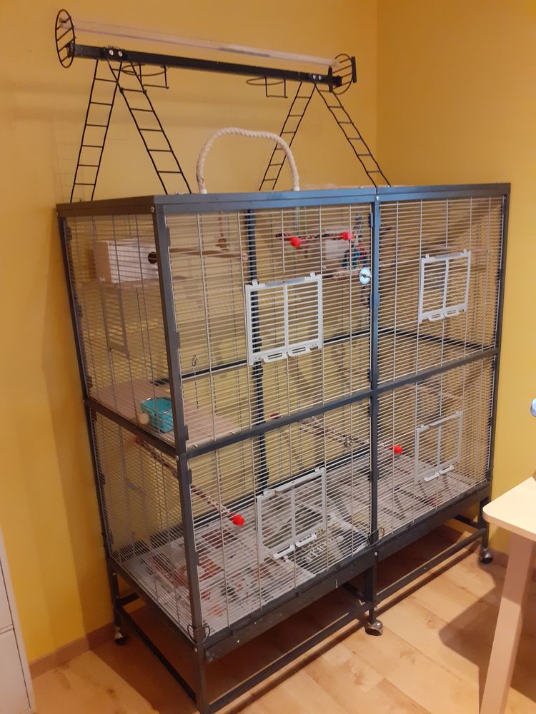 voli&eacute;re d'int&eacute;rieur 300 33420 Cabara