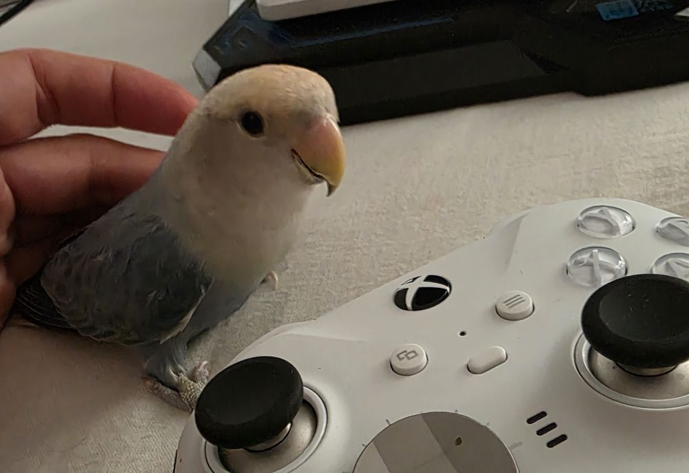 Ins&eacute;parable eam 85 29600 Morlaix