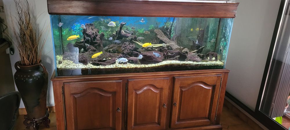 Aquarium rectangulaire Complet de 580 L (150*60*60) 500 06600 Antibes