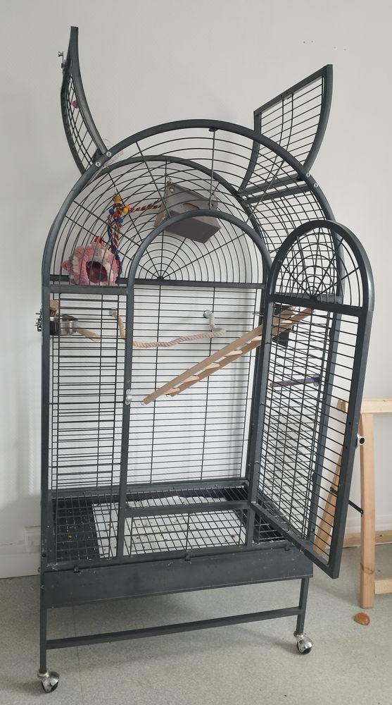 Cage 100 59500 Douai