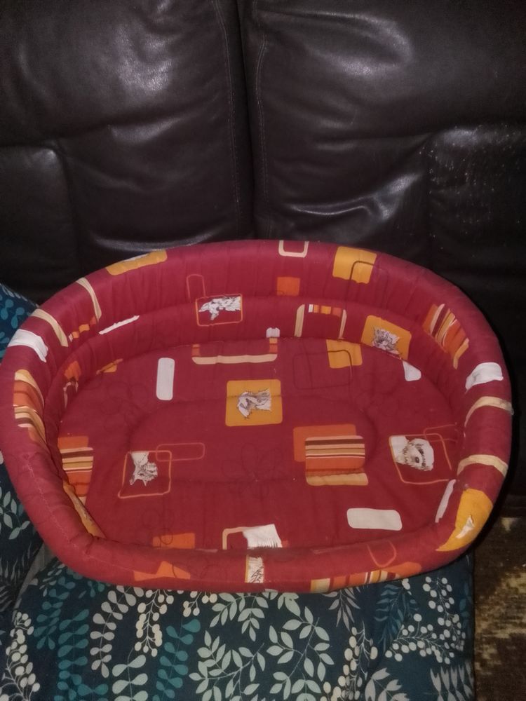 Pani&egrave;re rembourr&eacute;e pour chien 4 26000 Valence