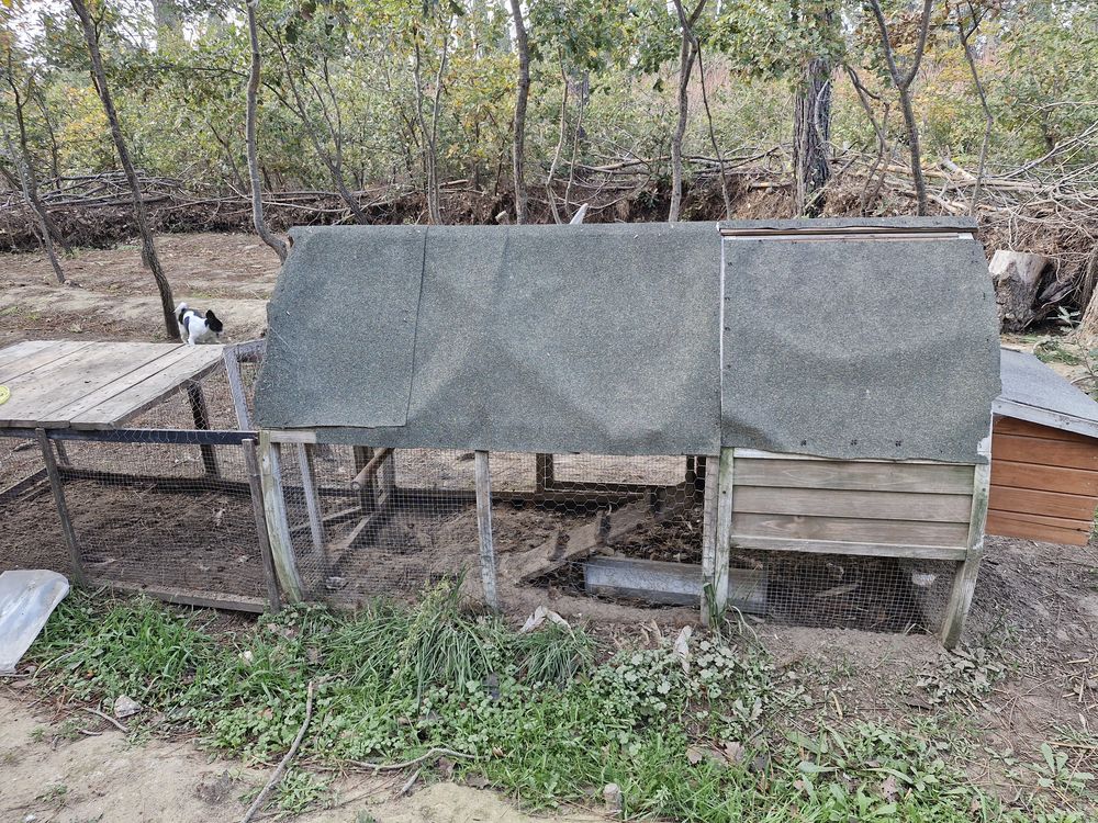 Poulailler 50 66750 Saint-cyprien