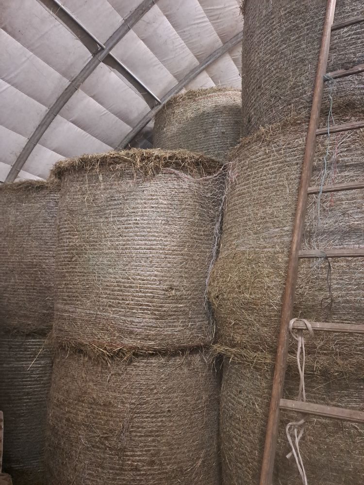 Regain balle ronde 45 73410 Saint-germain-la-chambotte