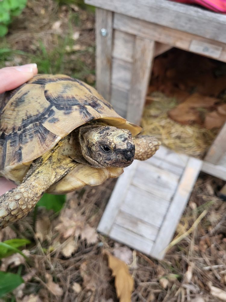 Recherche Hermann 100 47230 Barbaste