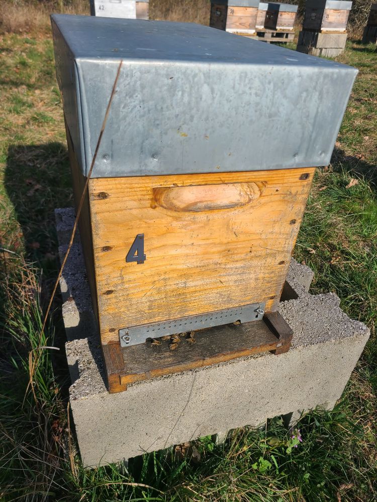 Essaims Abeilles Buckfast 150 38510 Morestel