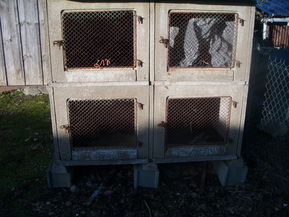 clapier &agrave; lapin 40 50160 Saint-amand