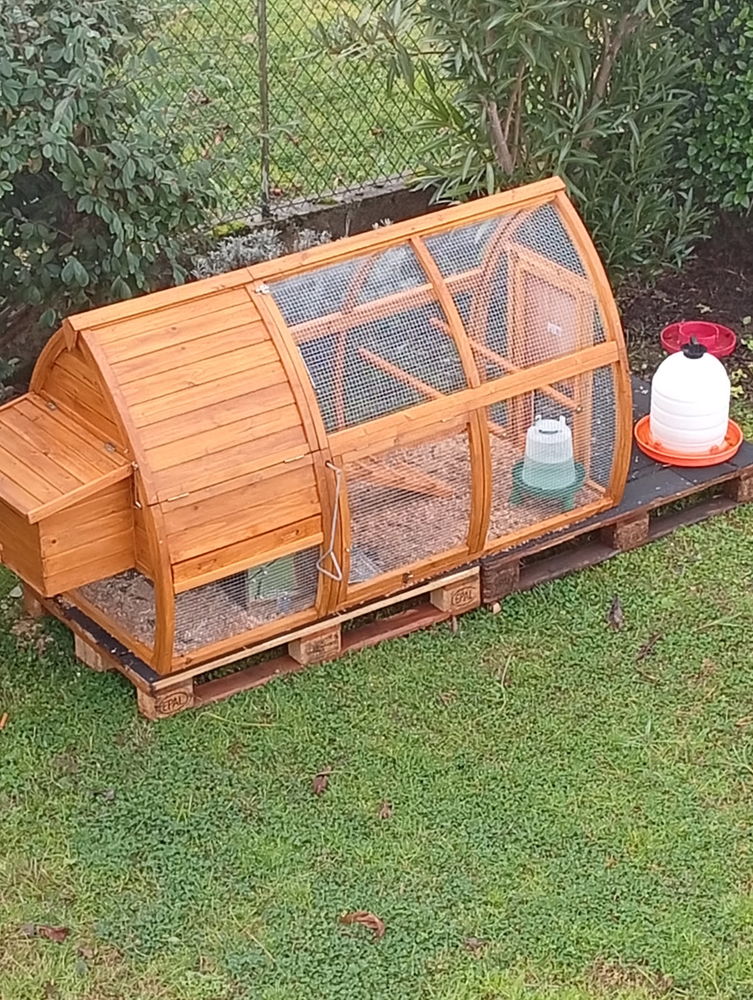 Poulailler d'occasion 260 47140 Saint-sylvestre-sur-lot